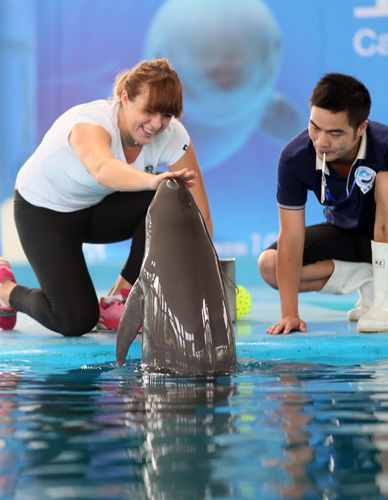 节奏保持 节奏保持