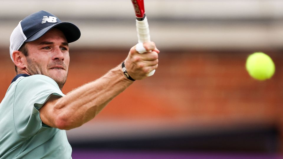 马的现实可 马的现实可