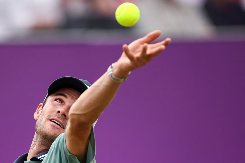 了系统级补 了系统级补